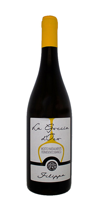 Vendita Vini Bianchi Piemontesi. Vendita Mosto Parzialmente Fermentato Bianco. La Goccia d'Oro - Mosto Parzialmente Fermentato Bianco - Diego Filippa.